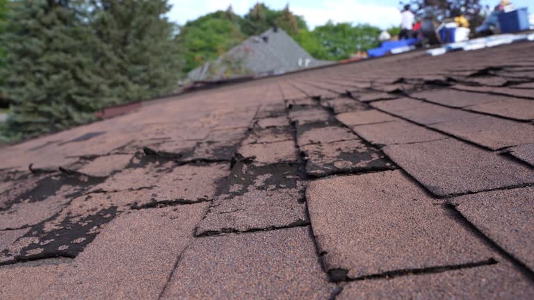 Best Gutter Installation and Repair  in Cedar Bluff, AL