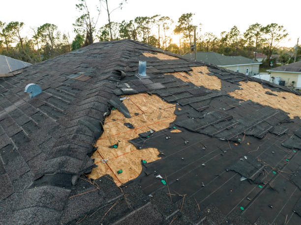 Best Steel Roofing  in Cedar Bluff, AL