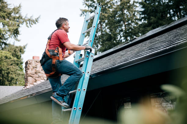 Best Skylight Installation and Repair  in Cedar Bluff, AL
