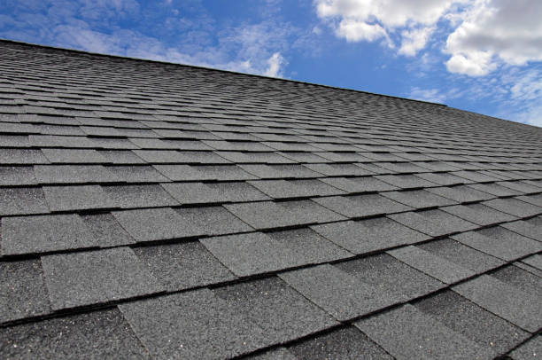 Best Roof Insulation Installation  in Cedar Bluff, AL