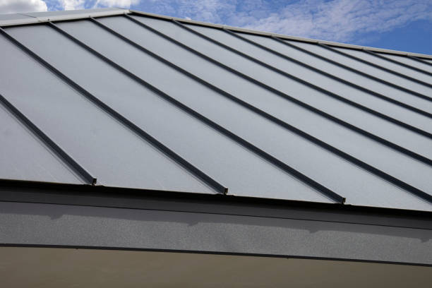 Best Roof Insulation Installation  in Cedar Bluff, AL